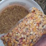 2 4b8c88d7f61329b699a1ed79bf69fce0 1024x769 1 150x150