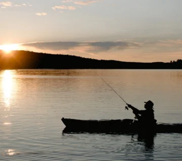 69bd3e1462277 360x320