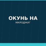 Cover r4 lovlya okunya na mikrodzhyg sn 150x150