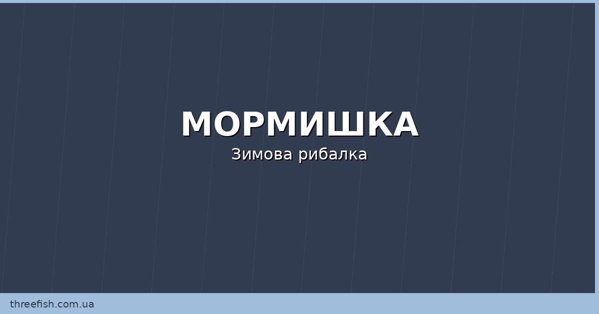 Cover zymova rybolovlya na mormyshku snas
