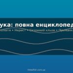 Threefish 8 150x150